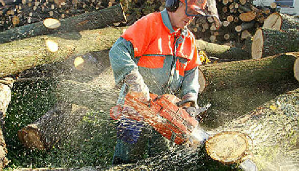 Ein Holzarbeiter mit Motorsäge zerlegt einen Baumstamm