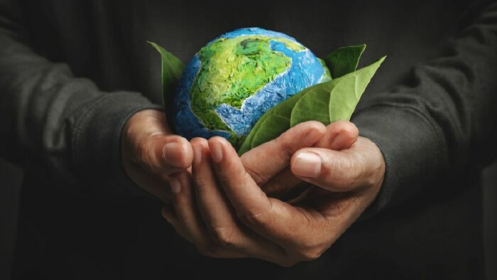 Die Hände eines Mannes halten einen Ball in Form der Erde in großen grünen Blättern schützend fest.