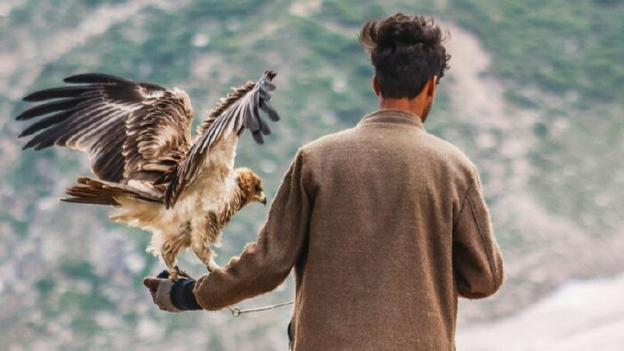 Sichern Sie sich den attraktiven Vorteilspreis für AK Mitglieder! © Canva Ein Mann, von hinten fotografiert, hat einen Greifvogel am linken Arm sitzen.