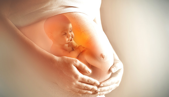 Montage Baby im Mutterleib