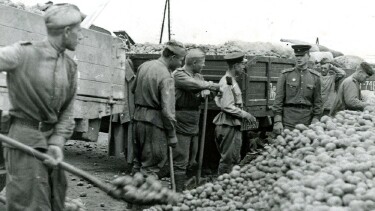 "Erdäpfel für die Wiener:innen" im Jahr 1945