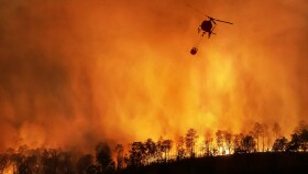 Waldbrand