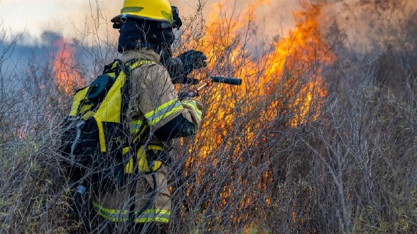 Ein Feuerwehrmann nähert sich brennendem Gestrüpp. © Canva