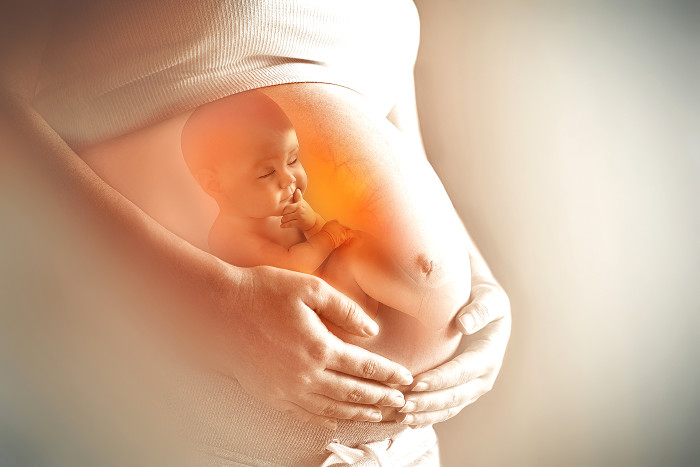 Montage Baby im Mutterleib © Zffoto/stock.adobe.com