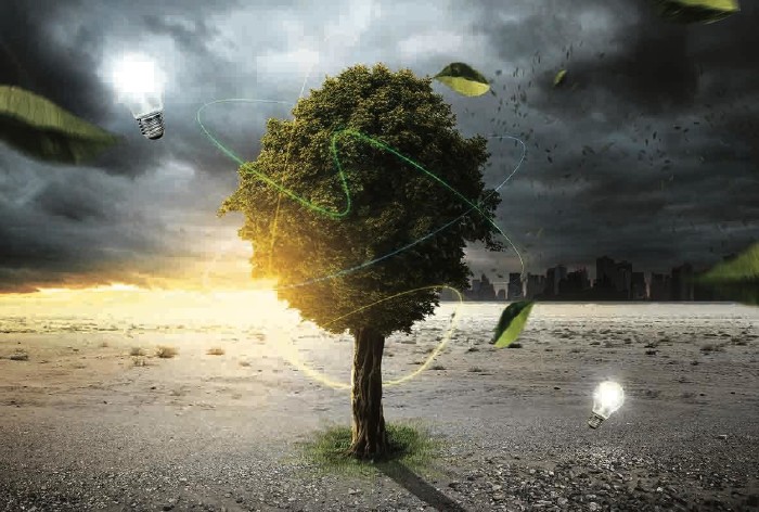 Baum im Klima- und Energiewandel © lassedesignen/stock.adobe.com