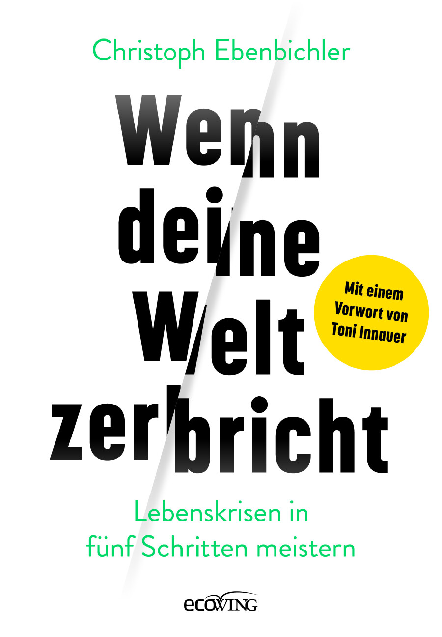 Wenn deine Welt zerbricht © Verlag, ecoWING Buch
